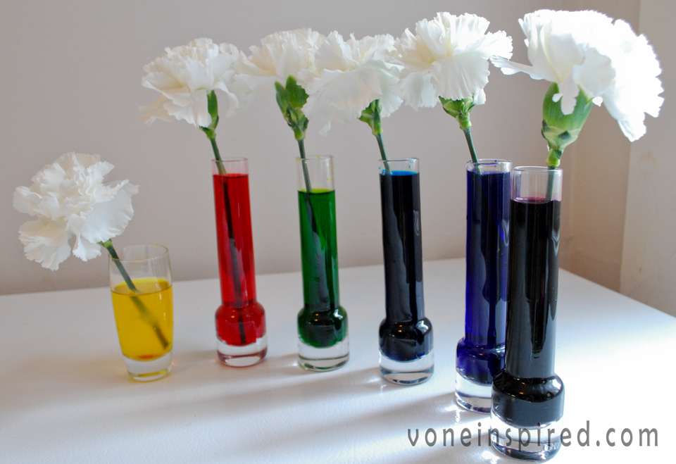 white-rainbow-flowers-from-VoneInspired